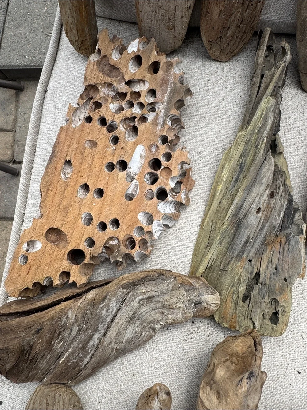 22 pcs(5lb shipped)Natural Driftwood & Beach Wood Accent Collection decor, craft